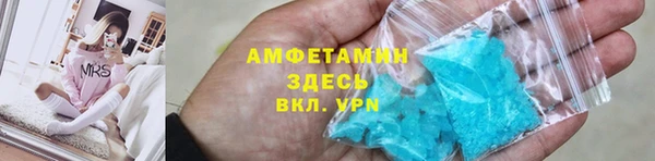 гидра Аркадак