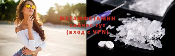 гидра Аркадак