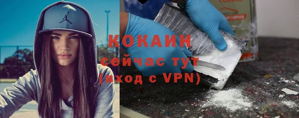 гидра Аркадак