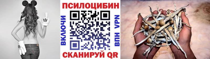 Галлюциногенные грибы Magic Shrooms хочу наркоту Оленегорск